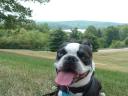 Butch at Atwood