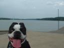 Butch on Shore