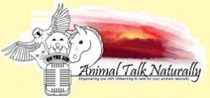 Dr. Kim Bloomer of Animal Talk Naturally