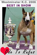 RUFUS - 2006 Westminster Best in Show!