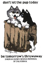 Siberian Husky Rescue of California